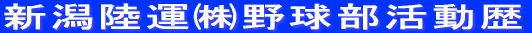 V^싅 